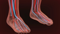 A Numbing Sensation in the Feet May Indicate Poor Circulation